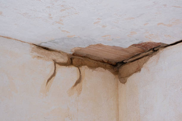 Best Ceiling water damage repair  in USA